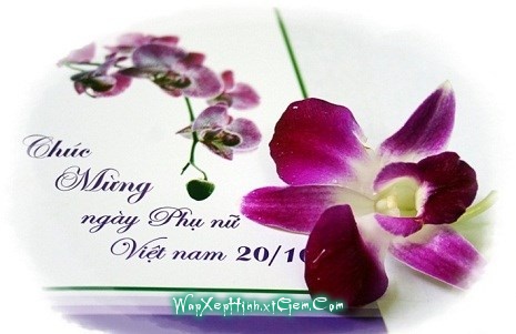 Ảnh minh họa Ảnh minh họa