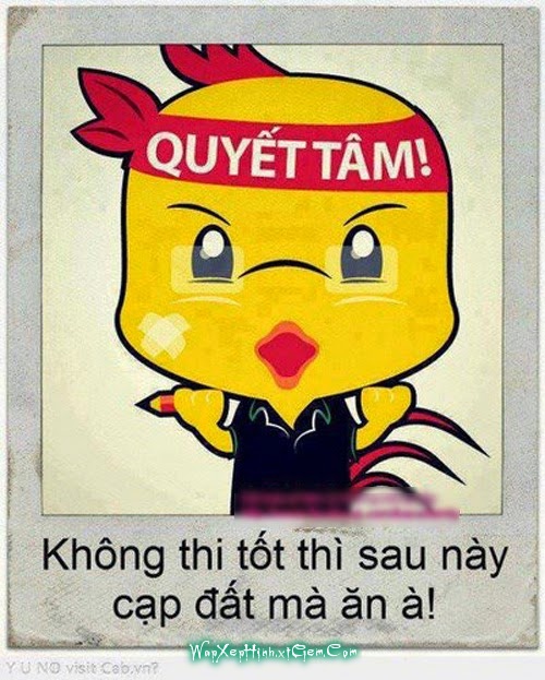 Ảnh minh họa Ảnh minh họa